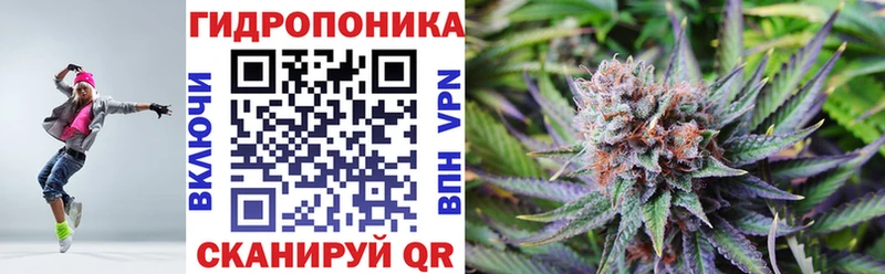 Марихуана план  Купить  Новотроицк 